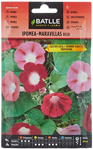 Semillas Batlle Ipomea Roja