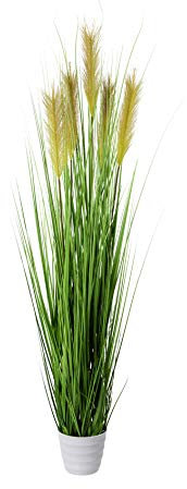 Creativ Green Kunstpflanze Gras, Dekogras, Grasbusch im weissen Topf (145 cm)