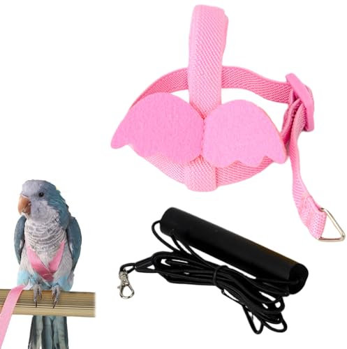 PHCOZY 1 Pcs Harnais et Laisse pour Perroquet Corde d'entraînement de vol de Perroquet réglable pour perroquets Kit Harnais et Laisse pour Oiseaux en Corde de Nylon pour Oiseaux