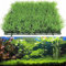 Jiakalamo Aquarium Grass Mat,Plastic Square Artificial Lawn Turf Grass Mat,Aquarium Fake Decorations Grasses Fish Tank Landscape Ornament for Saltwater Freshwater Tropical Fish Tank,25x25cm