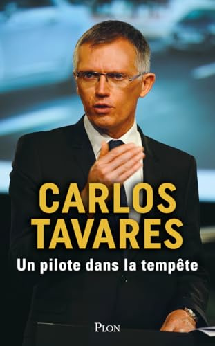 Un pilote dans la tempête