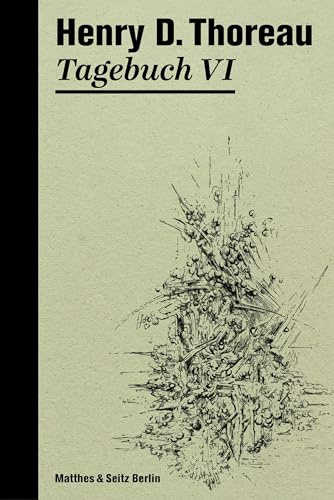 Tagebuch VI (Die Tagebücher von Henry David Thoreau)