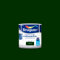 Bruguer Acrylic Multisuperficie Esmalte al agua Brillante Verde Mayo 250 ml