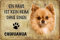 Blechschild 20x30cm gewölbt Ein Haus ist kein Heim ohne einen Chihuahua Hund Deko Geschenk Schild