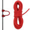 AYLIFU 1 x D-Schlaufenseil für Bogenschießen, 3 m, D-Freigabe-Schnalle, Seil für Compound-Bogen, Bogenschießen (rot, 3 m)