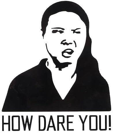 How Dare You - Greta Decal - Allwetter-Aufkleber, Vinyl-Aufkleber, Auto, Laptop, LKW, Werkzeugkasten, Fenster, Tumbler, Boot, Anhänger usw (Schwarz, 5x6)
