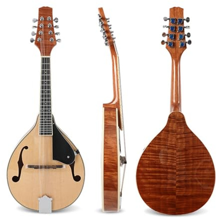La Mandolina Un Instrumento Musical Profesional Para Adultos Es Resistente Y Duradera