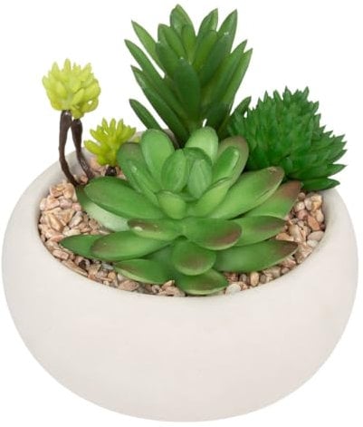 Atmosphera - Plante grasse Artificielle - Pot en Ciment - H10 cm - Modèle 2