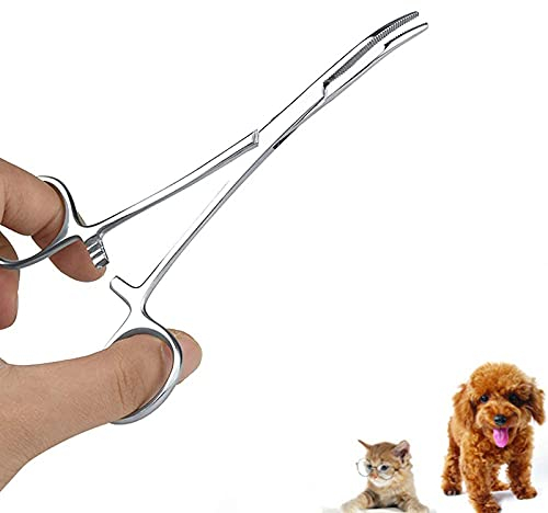 Pinzette per dell'orecchio dell'animale domestico in acciaio inossidabile Forbici per toelettatura dell'orecchio del gatto Pulizia viso dell'orecchio del gatto Morsetto dritto