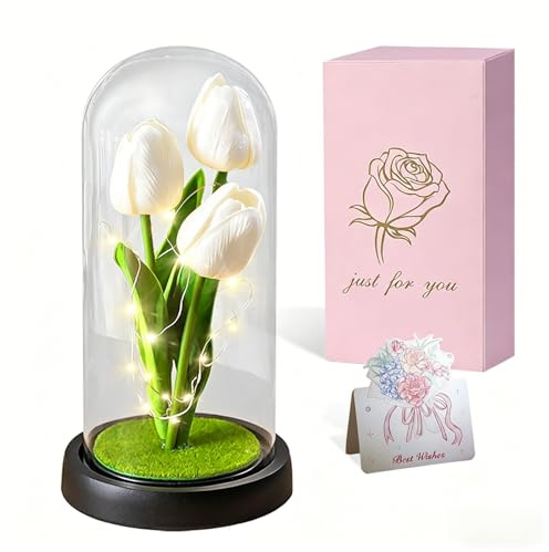 Dream Loom Ewige Tulpe für Sie, künstliche Blume LED-Tulpenlampe in klarer Kuppel Romantische Wohnraumdekoration für Valentinstag, Jahrestag, Muttertag, Geburtstag