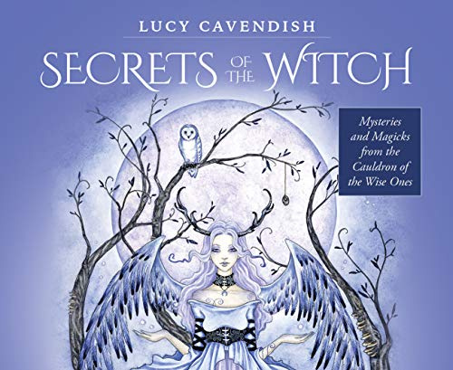 Secrets of the Witch - Mini Oracle Cards: Mysteries and Magicks from the Cauldron of the Wise Ones - 55 message cards plus instruction card.
