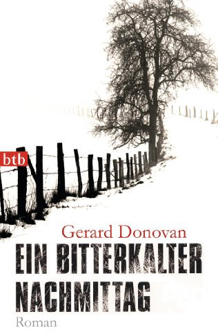 Ein bitterkalter Nachmittag: Roman