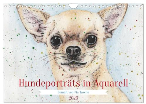 Hundeporträts in Aquarell (Wandkalender 2026 DIN A4 quer), CALVENDO Monatskalender: Zwölf unterschiedliche Hunde - mit Aquarellbuntstiften gemalt - ... mit Farbspritzern verziert. (CALVENDO Tiere)