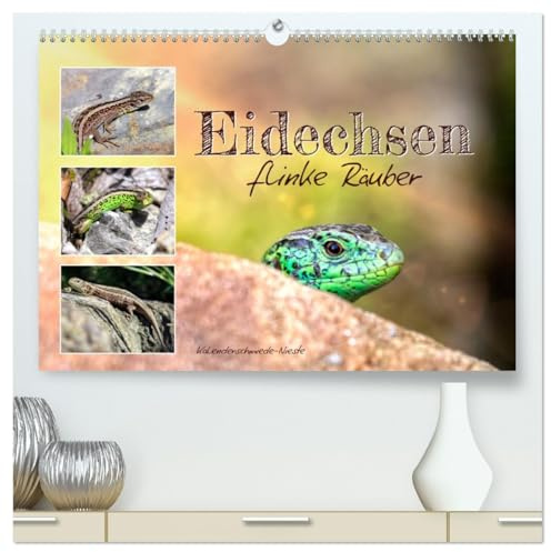 Eidechsen, flinke Räuber (hochwertiger Premium Wandkalender 2026 DIN A2 quer), Kunstdruck in Hochglanz: Immer in Bewegung und ständig auf der Jagd. (CALVENDO Tiere)