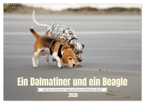 Ein Dalmatiner und ein Beagle - Auf der maritimen Jagd nach dem weltbesten Stock (Wandkalender 2026 DIN A2 quer), CALVENDO Monatskalender: Sie lieben Hunde und das Meer? Ich auch! (CALVENDO Tiere)