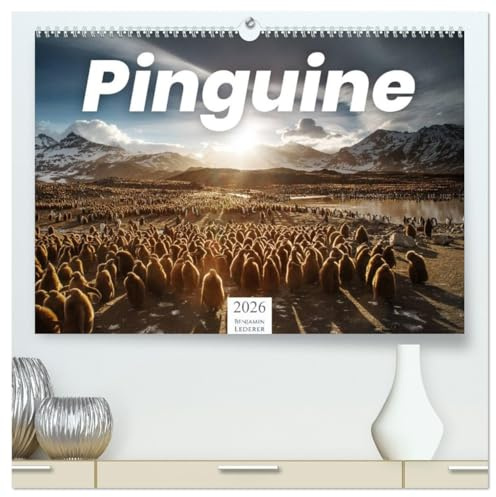 Pinguine - Die sympathischen Frack-Träger (hochwertiger Premium Wandkalender 2026 DIN A2 quer), Kunstdruck in Hochglanz: Süße Tiere zum verlieben! (CALVENDO Tiere)