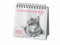Katzen Weisheiten Premium-Postkartenkalender 2026: 53 Postkarten mit zauberhaften Katzenfotos und Zitaten in einem kleinen Kalender für Katzenfans. Zum Aufstellen. (Postkartenkalender Heye)