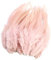 Fenteer 50 Natürliche Feder Dekoration Federn Feder Schmuckfedern Dekofedern Bastelfedern, Rosa, 130-180 mm