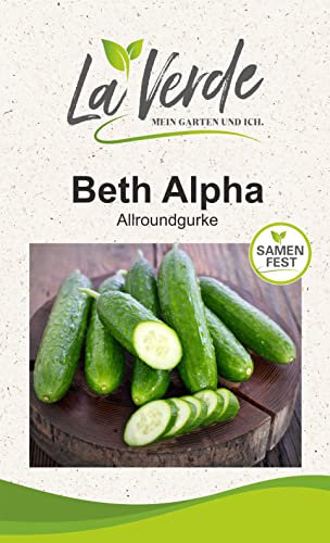 Beth Alpha Gurkensamen