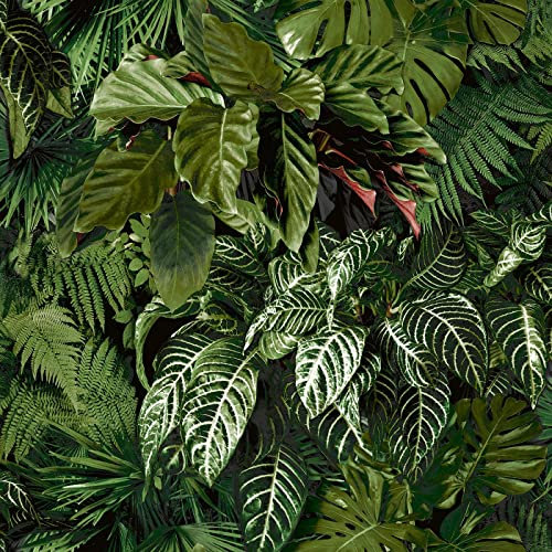 Ciara Tropical Palm Green Wallpaper - Botanical Leaves Jungle Modern Contemporary Paste The Wall Vinyl