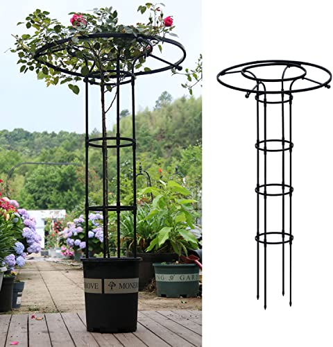 RADAAB Obélisque de Jardin extérieur 90cm 120cm 150CM 180cm 210cm Cage de Tomate Noire, Parasol Jardin en Pot Plante Support, Vigne Rose antirouille Enduit Support en métal (Size : 150cm/5ft)