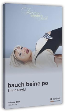 Shirin David-Poster, sexy Rapper-Sänger, Hip-Hop-Musik, Rap-Album, Bauchbeine, Po-Cover-Fans, Geschenk, Leinwand, Poster, Schlafzimmer, Dekoration, Landschaft, Büro, Raumdekoration, Geschenk, 30 x 45