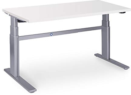 Dila GmbH Ergonomischer Schreibtisch elektrisch höhenverstellbar | höhenverstellbarer Bürotisch Workstation Arbeitstisch Bürotisch Büromöbel (140 x 80 cm, Weiß)