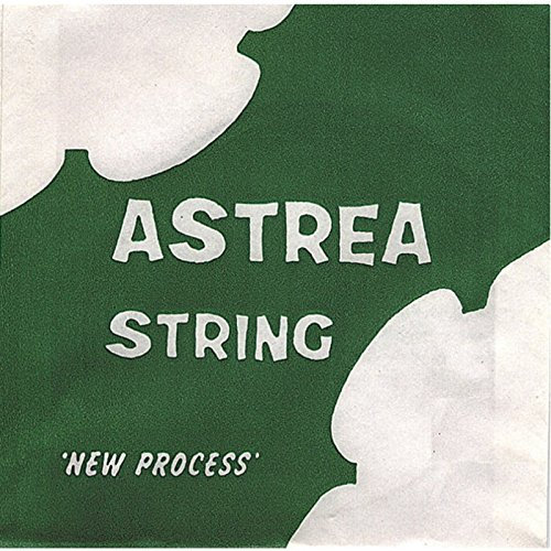 ASTREA 141131 VIOLINA 1/4-1/2 E 1ST