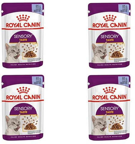 Royal Canin Sensory Taste | 4er Pack | 4 x 12 x 85 g | Alleinfuttermittel für ausgewachsene Katzen | Stückchen in Gelee | Kann dabei helfen den Geschmackssinn anzuregen