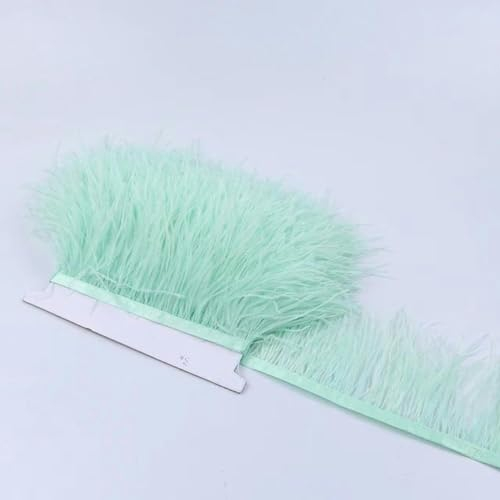 1M 5M 10M 8-10cm Adornos de Plumas de Avestruz Cinta Pluma Multicolor para Coser Plumas Manualidades Vestido Ropa Decoración-Verde Menta-10m