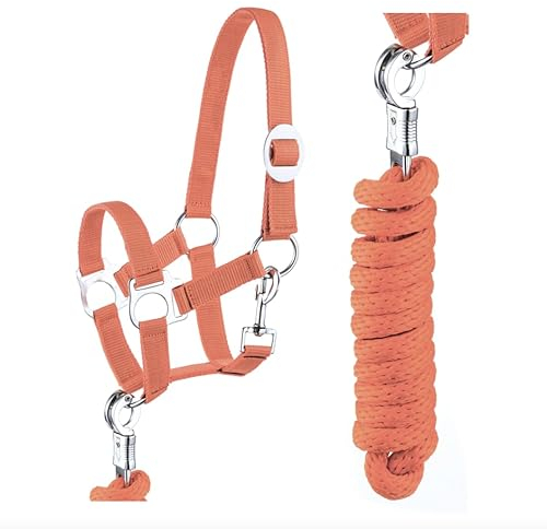 Halfter Führstrick Set mit Panikhaken verstellbar Pferdehalfter Pferd Holzpferd Anbindestrick (Panikhaken Orange, Pony)