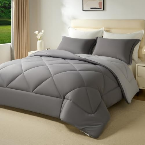 beeweed Bettdecke Ohne Bezug 200x200 cm Winterwarm Grau/Hellgrau | Bettdecke 400 GSM mit Kissenbezug, Waschbar Oeko-TEX Warm Wende-Steppdecke Weiche Mikrofaser Duvet 4 Jahreszeiten