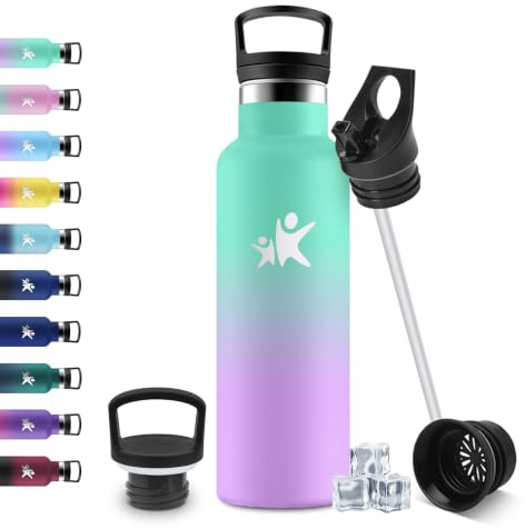 JAPORIA Gourde Inox 500ml, Gourde avec en Paille, Bouteille Isotherme Double Paroi, sans BPA, Anti Fuite et Réutilisable, Bouteille d'eau pour Bureau, Cyclisme, Travail, Voyage, Alpinisme