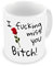 GrassVillage Funny Friendship Mug – I Fing Miss You Bitch! – Rude Long Distance Gift for Best Friend, Sister, Roommate – Christmas, Birthday or Just Because – 11oz White Ceramic Coffee Cup