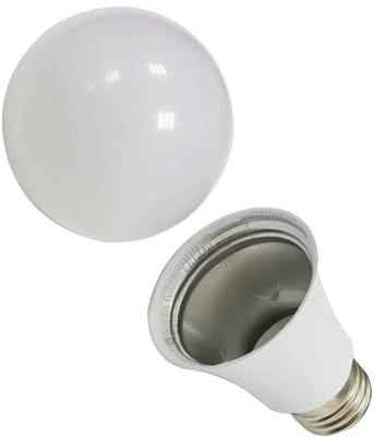 Perfeclan Détournement d'ampoule, fausse ampoule sûre, petit conteneur, garde les objets de valeur en sécurité, boîte d'ampoule