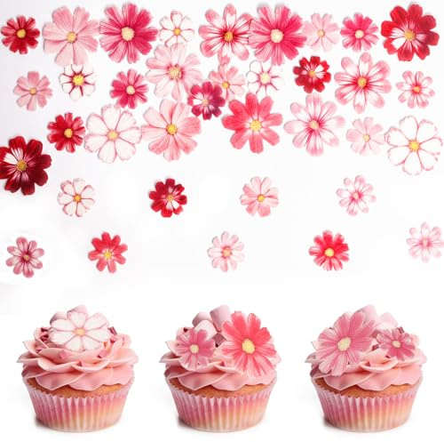 72 Stück Blumen Kuchen Deko,Oblatenpapier Blüten Kuchen | Blüten Cupcake Deko,Deko Blüten Tortendeko für Hochzeit,Geburtstag,Babyparty,Karnevalsparty