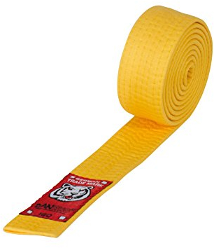 DanRho Junior Taekwondo Judo Karate Gürtel 4 cm Budogürtel 1-farbig einfarbig