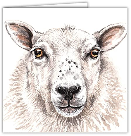 Maturi Blanko-Grußkarte mit Aquarellbild - Schaf