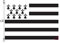 Stormflag Drapeau Bretagne 150x225cm Drapeau Breton 5x7.5ft en polyester 110g/m2 avec œillets et Double couture with trois crochet en 10x10cm triangle Appliqué
