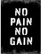 Artery8 Exercise Decor Inspiration No Pain No Gain Inspirational Gym Decor Wall Art Large Wall Art Poster Print Thick Paper 18X24 Inch