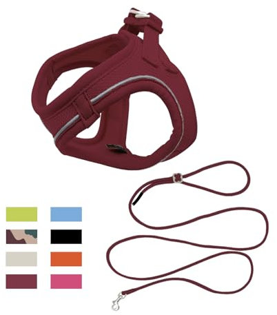 Qianruida Hundegeschirr Und Leine Für Kleine Hunde Verstellbare Zugentlastung Reflektierende Welpen Katzengeschirr Atmungsaktive Soft Mesh Jacke Zum Wandern, Laufen, Trainieren(Bordeaux S)