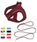 Qianruida Hundegeschirr Und Leine Für Kleine Hunde Verstellbare Zugentlastung Reflektierende Welpen Katzengeschirr Atmungsaktive Soft Mesh Jacke Zum Wandern, Laufen, Trainieren(Bordeaux S)