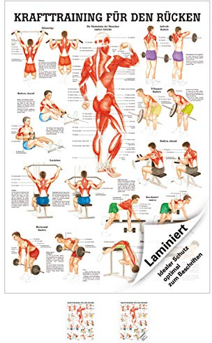 Ruediger Anatomie TA79LAM Krafttraining für den Rücken Tafel, 70 cm x 100 cm, laminiert