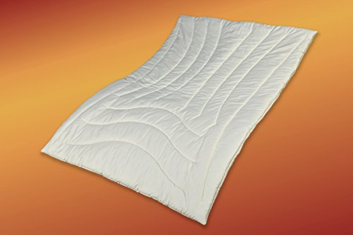 Betten Hofmann Premium Merino-Zirbenholz Leicht-Steppbett Bettdecke Zirbenduft 100% Natur (135x200cm)