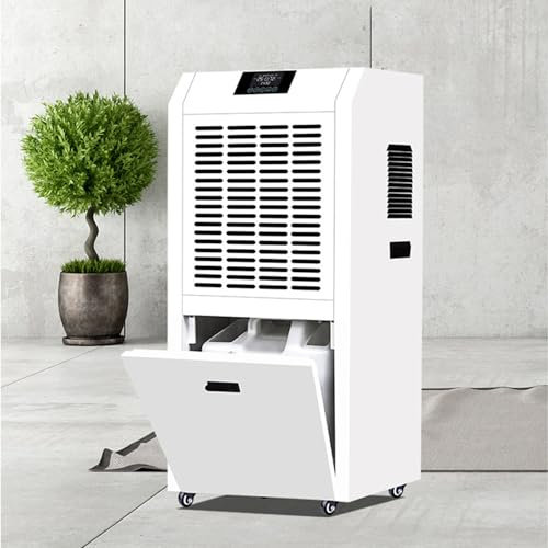 RayGenius Deshumidificador De Bajo Consumo 60 Litros/Día | Doméstico Silencioso Con Compresor y Filtro - Blanco