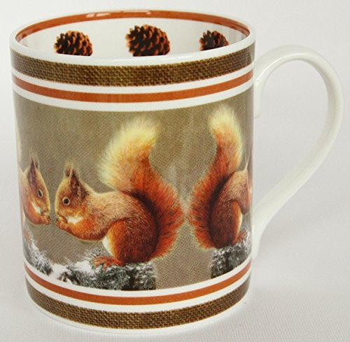 Mug - Squirrel, Fine Bone China by Wildlife Artist Robert E Fuller British Wildlife( 9.5 x 8 cm ) Red Squirrel Mug, Dishwasher and Microwave Safe