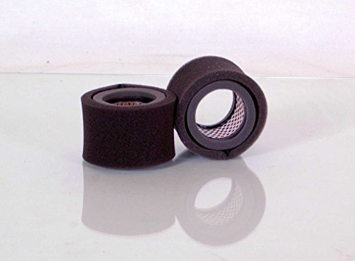 Luftfilter Ammann Stampfer DVS 68 E Luft Filter mit Robin-Motor E/EC 10