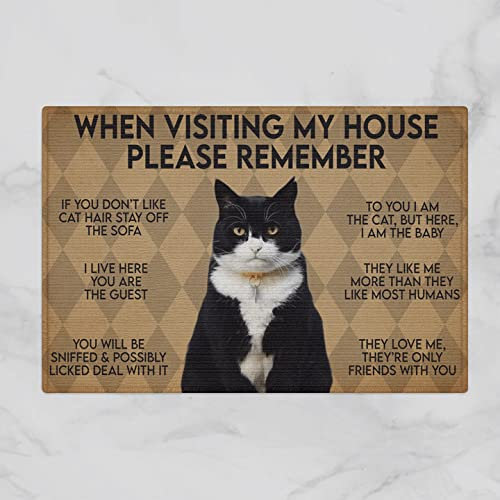 Entrance Rug Cat - When Visiting My House Welcome Mat Non-Slip Utility Kitchen Mats For Living Room Entry Hallway 40X60Cm