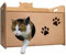 Fiocca®- Casetta per gatto in legno di betulla 54x44x35cm Made in Italy, 100% naturale realizzata nel rispetto dell'ambiente - Desing OLA (Gatto)