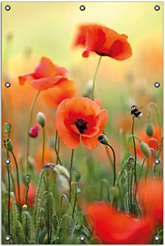Wallario Outdoor-Poster für Garten oder Balkon Mohnblumenblüten, Motivbanner Größe: ca. 80 x 120 cm, Outdoor-Bild
